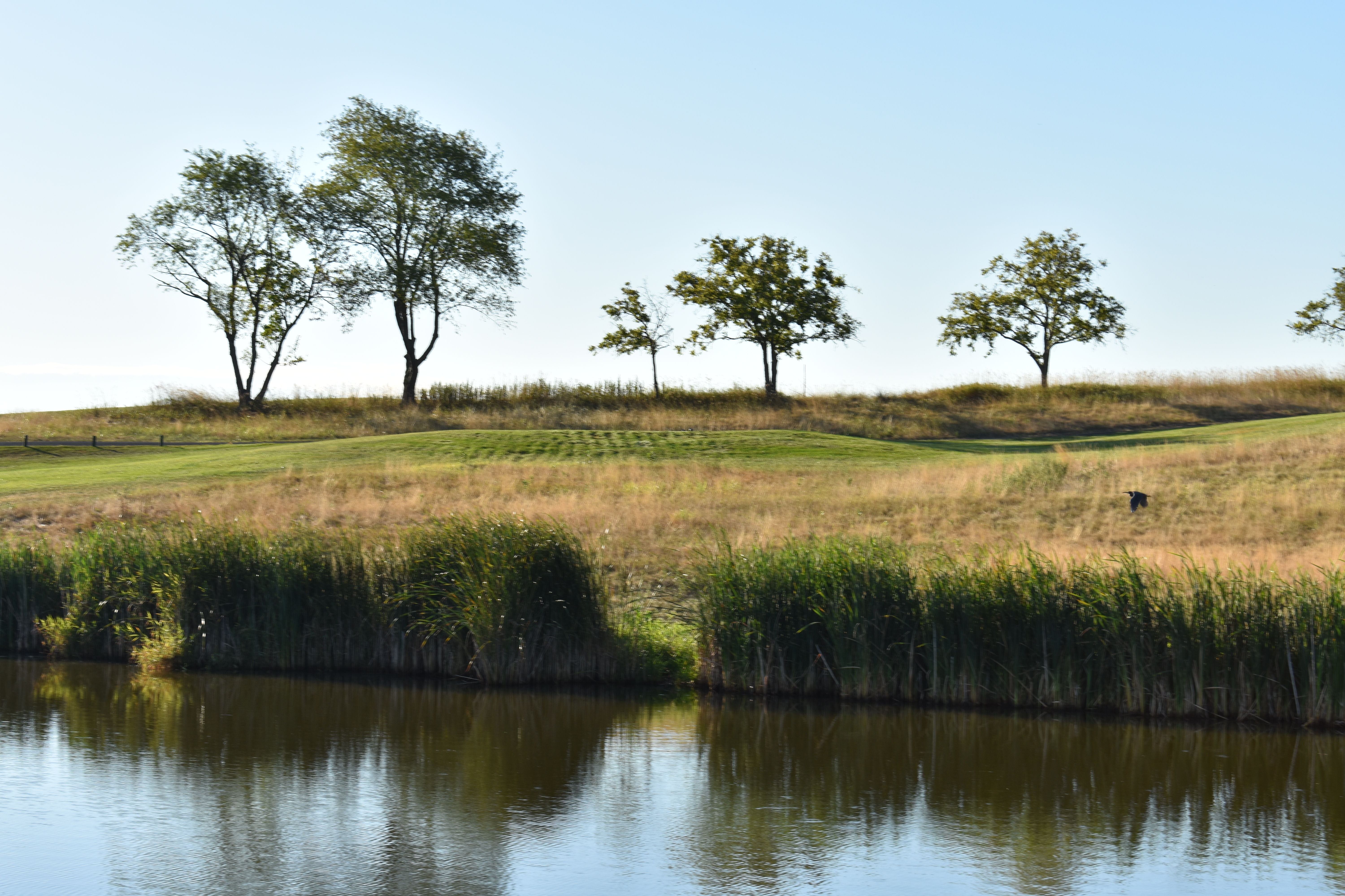 Water hazards at Neshanic Valley Golf Course
