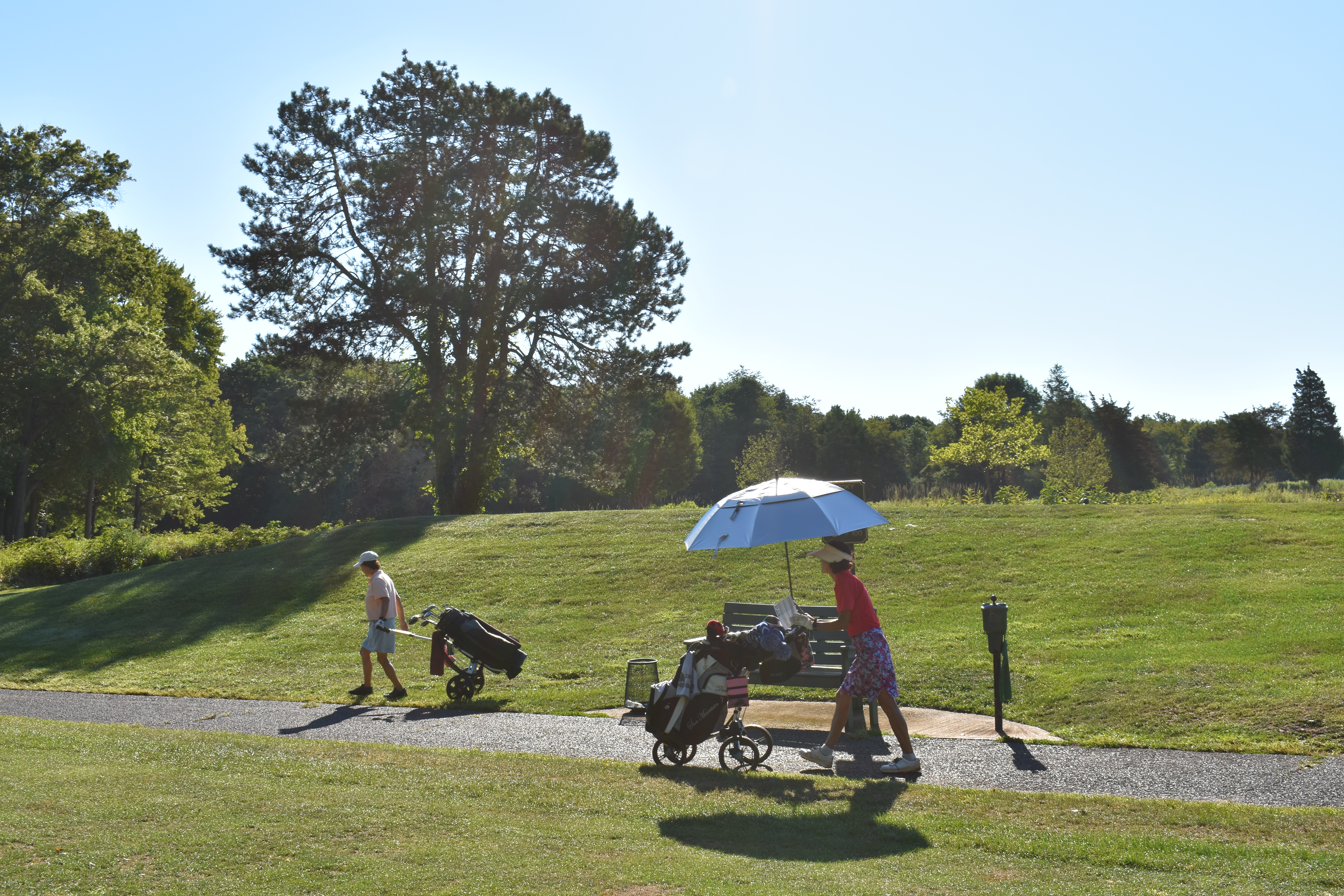 Spooky Brook Push Cart