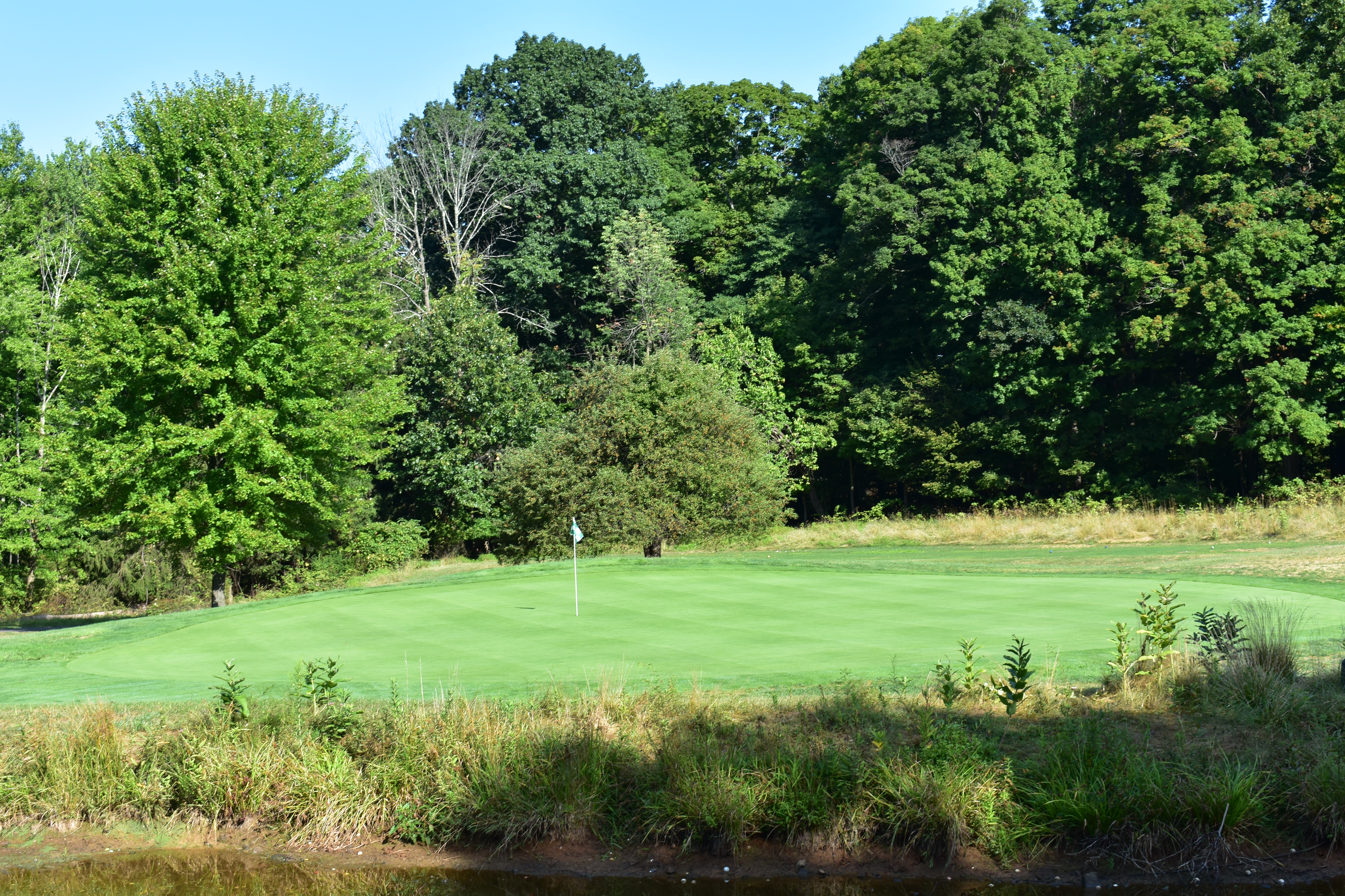 Warrenbrook Golf Course Green