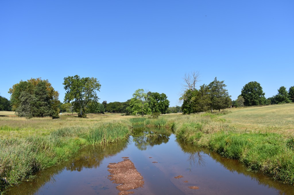 Water hazard at Green Knoll Golf Course in Bridgewater NJ