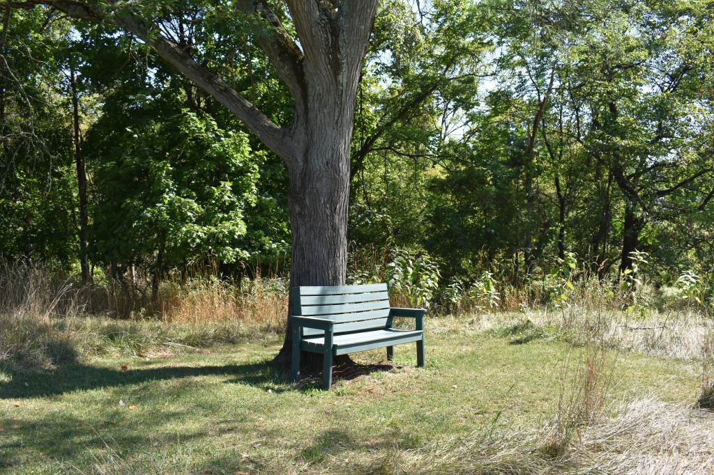 Park bench at Green Knoll Golf Course in Bridgewater NJ